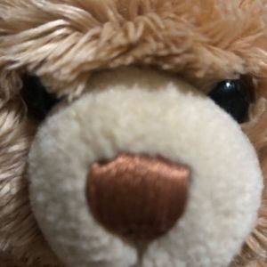 Meet your Posher, Flor